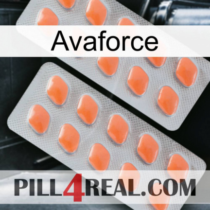 Avaforce 27